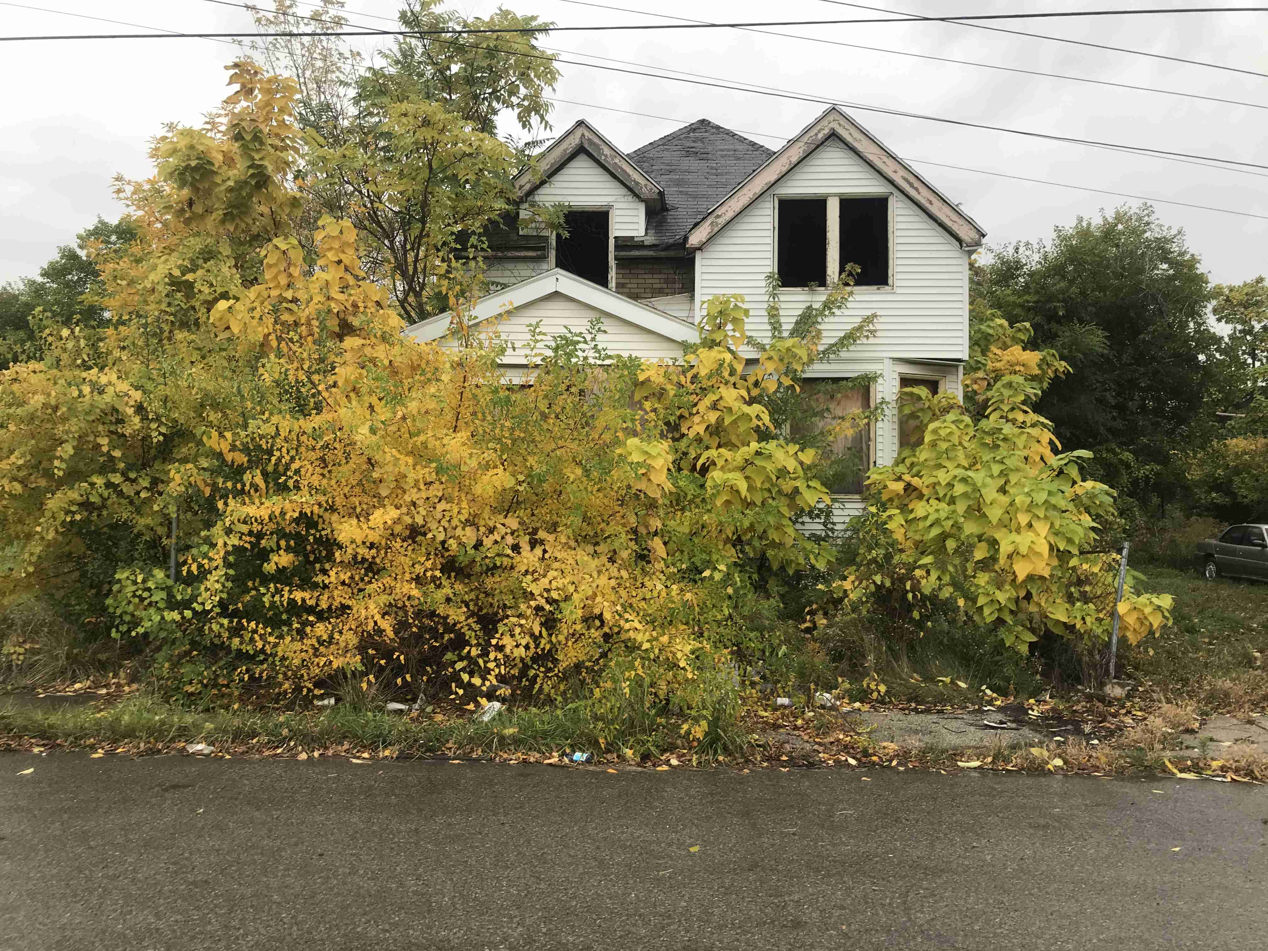 Photo Oct 15, 10 41 51 AM.jpg